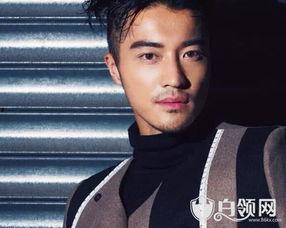 樊野个人资料,才华横溢的青年艺术家，探索艺术与生活的交融之美