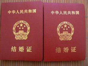 结婚证资料,XX与XX的甜蜜婚姻之旅