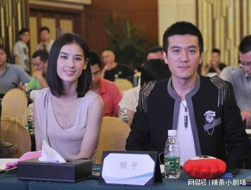 扬子背景强大吗,揭秘强大背后的故事