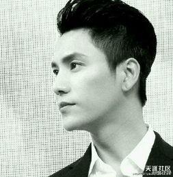 男的明星照片,探寻男星风采背后的故事