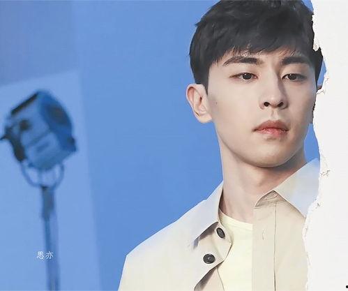 男的明星照片,探寻男星风采背后的故事